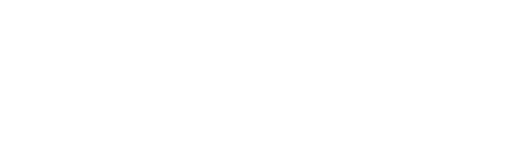 wordpress business websites