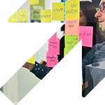 WordPress development agency expert