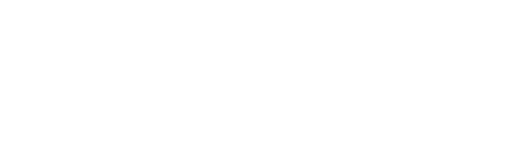 wordpress business websites