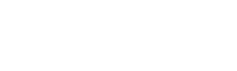 wordpress business websites