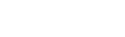 wordpress business websites