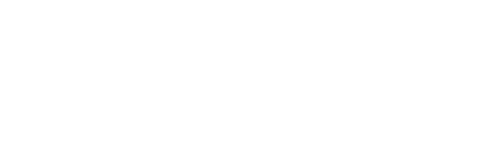 wordpress business websites